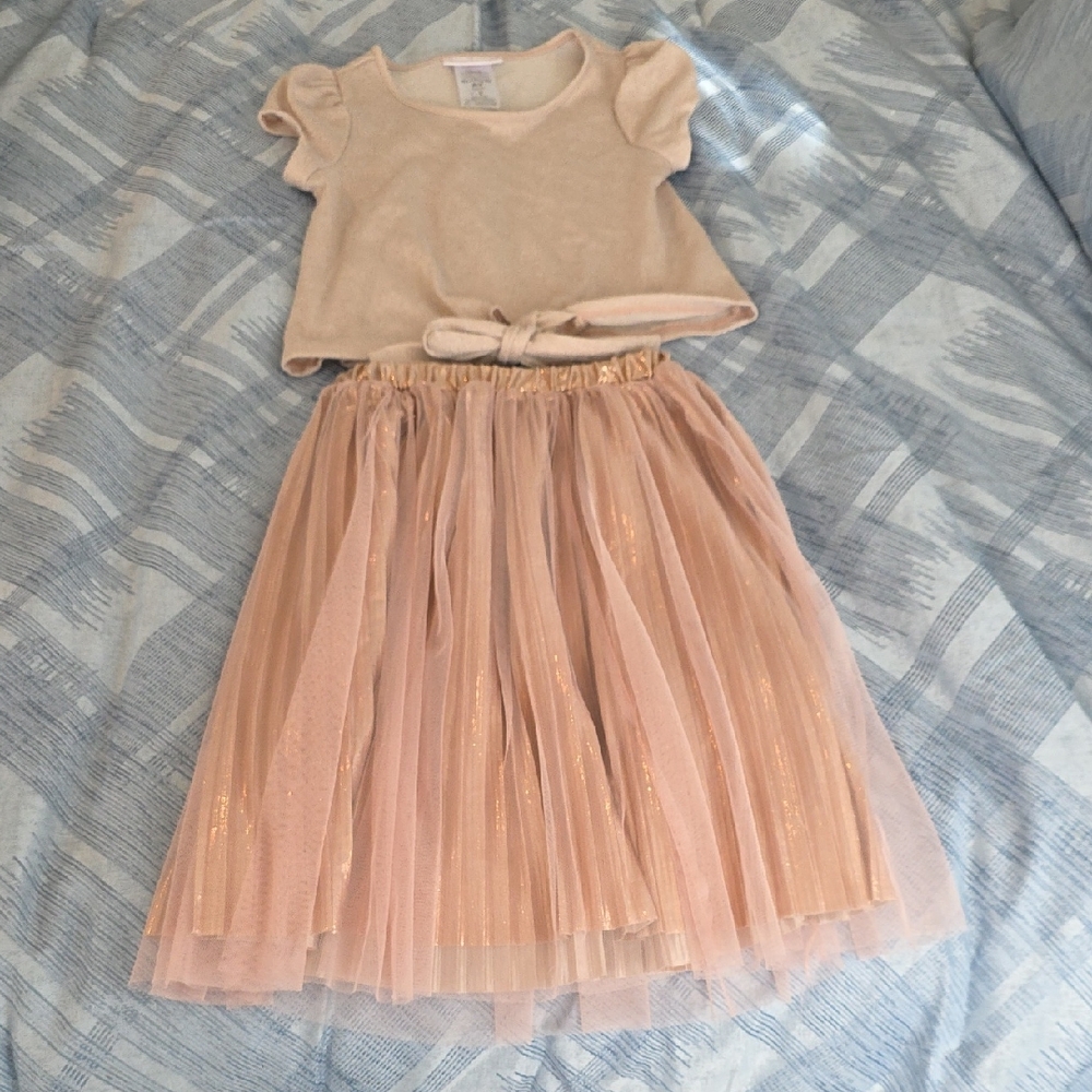 Soft Pink Peachy Metallic Top and Pink Tulle Skirt Set